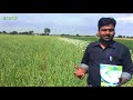 magic hydrogel for field crops