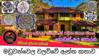 වලව්වේ බිමට අල්ලලා තියෙන්නේ මිල කරන්න බැරි පිඟන් | මඩුවන්වෙල වලව්ව #trending - Yakkula Rawana