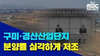 [대구MBC뉴스] 제조업 침체...산업단지 분양 심각