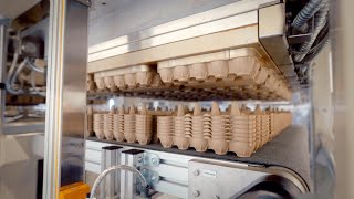 Pulp Thermoforming Machine by Inmaco [2m20] - Production Egg Trays - Machine type: MT/FP 80-2