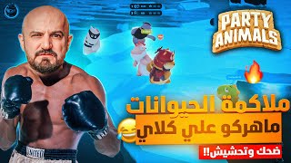 ضحك وتحشيش مش طبيعي !!🤣 حرب البوكسات ضد السكواد 😂 | ماهركو ينتقم من جلطة🔥| Party animals