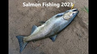 ৭ কেজি ওজনের কিং স্যামন মাছ ধরলাম । Salmon Fishing in USA 2023 । USBanglaTube27