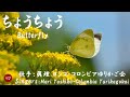 ちょうちょう Chouchou（眞理ヨシコ / コロンビアゆりかご会 ）ローマ字と日本語の歌詞、および英語の歌詞の意訳付き