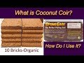 Using Coconut Coir and SpongEase to Grow Microgreens and More