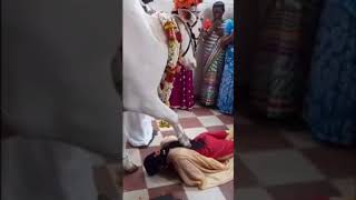 India: Hindus receive Holy Cow blessing from their Cow Goddess