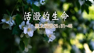 20210323[活潑的生命]分別綿羊和山羊的標準 愛人如愛主的生活(馬太福音25:31~46)