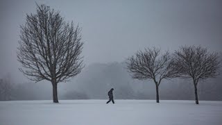 𝐏𝐥𝐚𝐲𝐥𝐢𝐬𝐭 l 희망 같은 건 말하지 않고 조용히 소멸해가는 낭만도 있을까, 가사 없는 음악