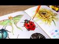 Drawing insects with Copic Markers and colored pencils 🐞