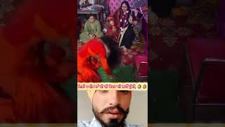 ਇਨੇ ਗੇੜੇ ਤਾਂ ਜਨਰੇਟਰ ਦੇ ਨੀ ਹੁੰਦੇ #shortvideos #information