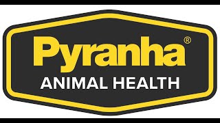 Pyranha Essential Pet Shampoo