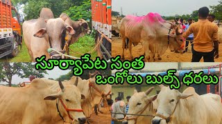 suryapet bulls market today తెలంగాణ లోనే అతీ పెద్ద సూర్యాపేట సంత.