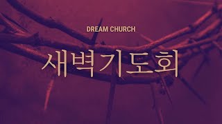 또! 누가 크냐?(눅 22:24-30)ㅣ꿈의교회 이현석 목사