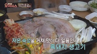 (침샘 주의) 살아있는 쫄깃함\u0026육즙 '지리산 흑돼지' TV정보쇼 오!아시스 11회