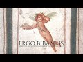 Ergo bibamus! Daily life in a late antique taberna in Ephesos (english)