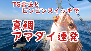 TG雷流とビンビンスイッチで真鯛アマダイ連発