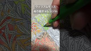 ウィリアムモリスぬり絵チャレンジ16#ウィリアムモリス #塗ってみた