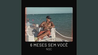 6 Meses Sem Você