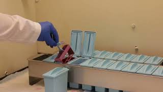 H&E Staining