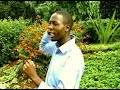 francis muchiri niututganaga official video