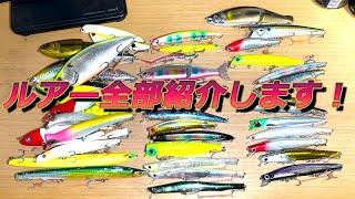 【シーバス】隊長のルアー大公開SP！！持ってるルアー全部出します！