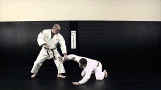 Nihon Goshin Aikido - Aikido Academy of Self Defense - Tarpon Springs