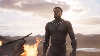 'Black Panther' Trailer: Chadwick Boseman and Michael B. Jordan Fight for Wakanda