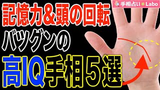 【手相占い】記憶力＆頭の回転バツグンの高IQ手相５選