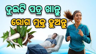 ମାତ୍ର ଦୁଇଟି ପତ୍ର ଖାନ୍ତୁ ଆଉ ରୋଗ ମୁକ୍ତ ହୁଅନ୍ତୁ | Odia health tips | Health Benifite of Neem leafe |