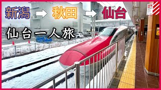 【ほぼグリーン車】仙台に一人旅してみた！