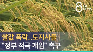 [G1뉴스] 쌀값 폭락..도지사들 \