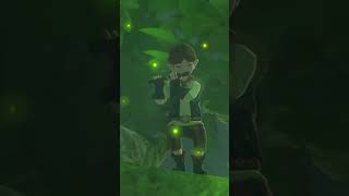 How to impress a girl 101 #zelda #tearsofthekingdom #legendofzelda #nintendo #totk #link
