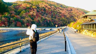 2024年12月4日(水) 紅葉見頃の京都嵐山🍁 Arashiyama, Kyoto during the autumn leaves season