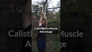 Calisthenics Muscle Building Advantage?