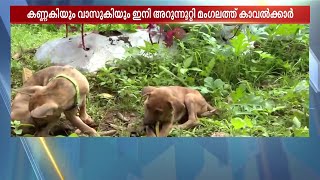 തെരുവുനായകളെ ഏറ്റെടുത്ത് ജില്ലാ പഞ്ചായത്ത്; വാസുകിയും കണ്ണകിയും ഇപ്പോൾ ബിസിയാണ്