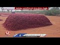 chilli farmers in mahaboob nagar facing difficulties due to less price v6 news