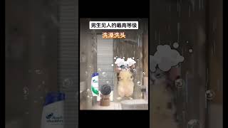 男生见人的最高等级 #喵不可言 #funny #cat #喵 #喵星人 #猫meme #cute #貓 #memes #猫meme小剧场 #shorts