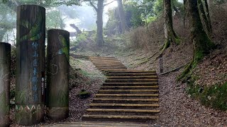 登山健行微紀錄｜檜山巨木群步道 [ 2023.10.09 ]