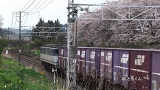 東海道本線　大垣　－　近江長岡　2013/04撮影　EF65