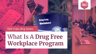 What Is A Drug Free Workplace? (Workplace Safety \u0026 Compliance)