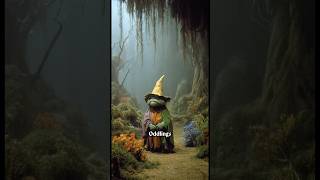 What do you see when you look at them?