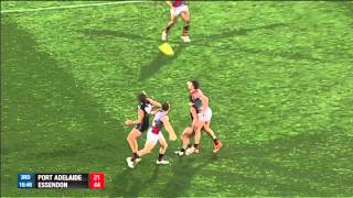 EnergyAustralia PowerPlay - Round 16, 2014 v Essendon