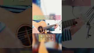 チェリー/スピッツ 弾き語りcover #Shorts