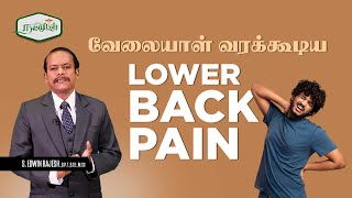 நலமுடன் || வேலையாள் வரக்கூடிய Lower Back Pain || NALLAMUDAN || S.Edwin Rajesh B.P.T.,B.Ed