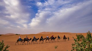 4K 北非的珍珠-摩洛哥3 : 梅若卡&伊芙蘭  The Pearl of North Africa-Morocco 2: Merzouga & Ifrane