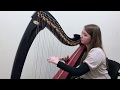 Shallow - Lady Gaga & Bradley Cooper (Harp Cover by Arianna Worthen)