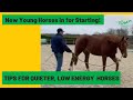 Working with Low Energy Horses; Live Check-In!