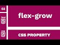 CSS Property : flex-grow explained !