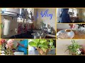 A day in my life 🌷Udhaya Tamil Vlogs#🌷🌷