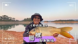 這種生活是妳喜歡的麽？魚隨便釣！