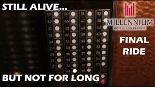 MODDED + LAST ORIGINAL Fujitec High-Speed Traction Elevators - Millenium Broadway in New York, NY